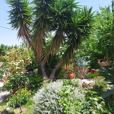 Πανσιόν Aleka's House 3*