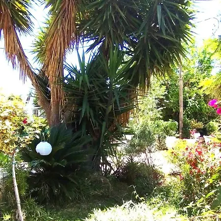 Πανσιόν Aleka's House Νικιάνα