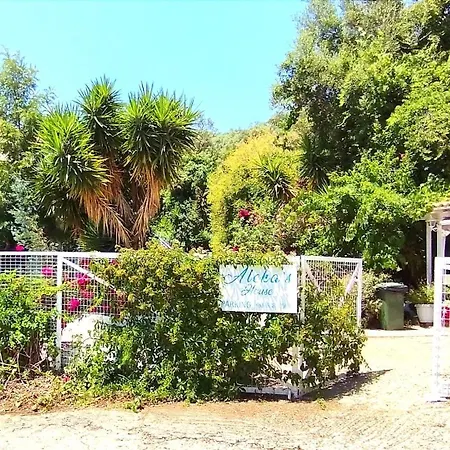 Πανσιόν Aleka's House Νικιάνα