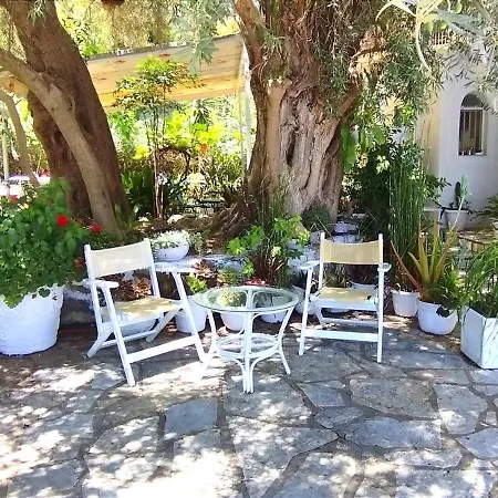 Πανσιόν Aleka's House Νικιάνα