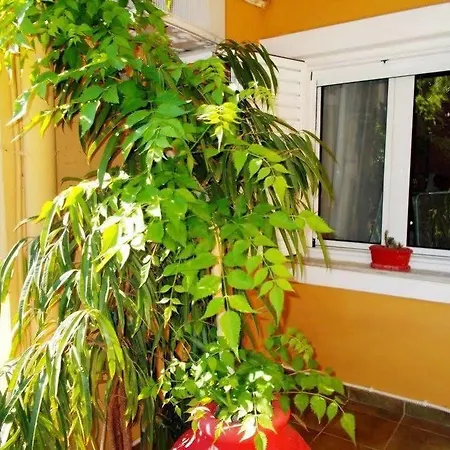 Aleka's House Νικιάνα