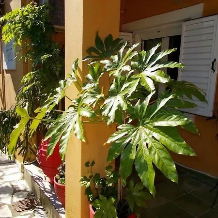 Aleka's House 3*