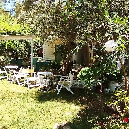 Guest house Aleka's House