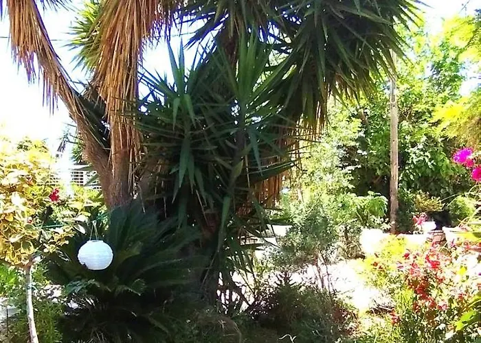 Guest house Aleka's House Nikiana