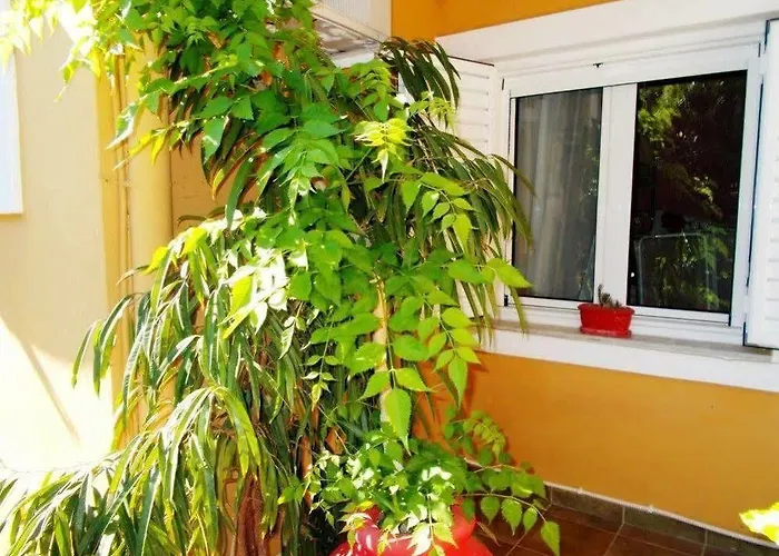 Aleka's House Nikiana